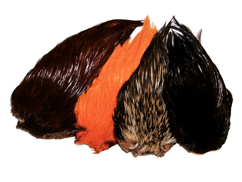 indische hahnenbälge