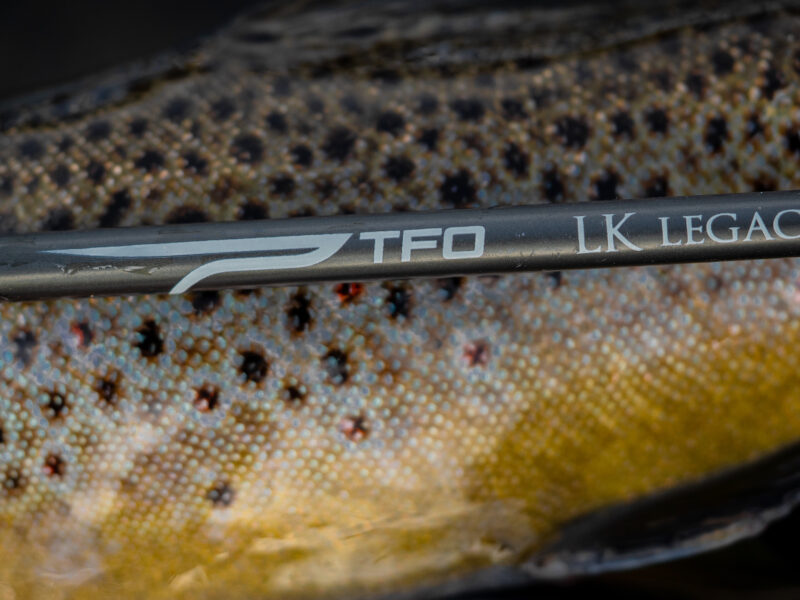 TFO LK Legacy